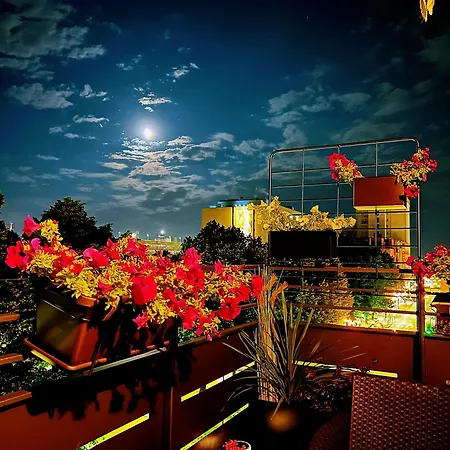 Venezia Visualizza 메스트레